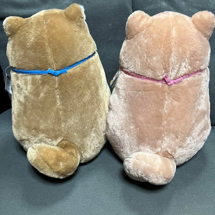 B賞　超BIGさくらぬいぐるみ Amazon.co.jp: 忠犬もちしば ででーんと超BIGぬいぐるみ さくら